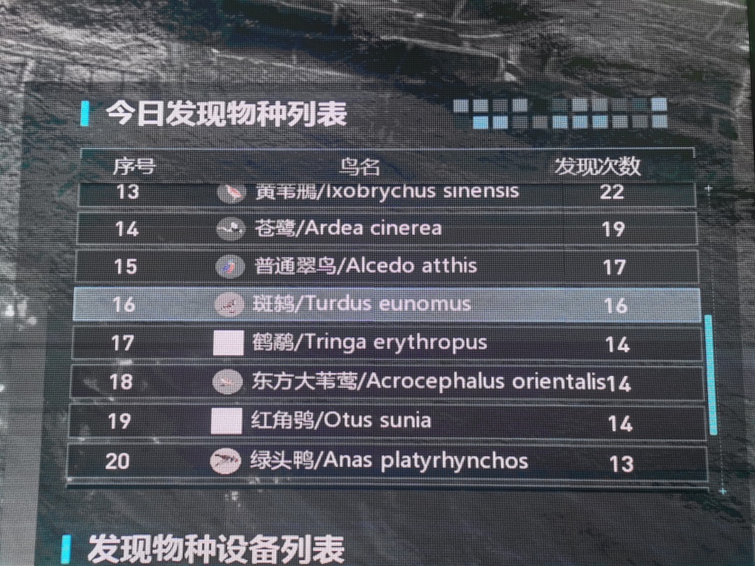 145201rvkn3xoxfmvodqzn.jpg