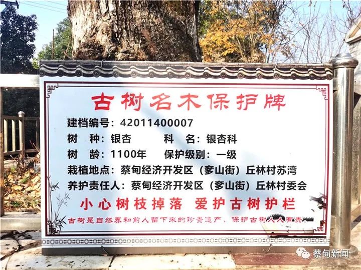 160323w0yaanppntvcypka.jpeg