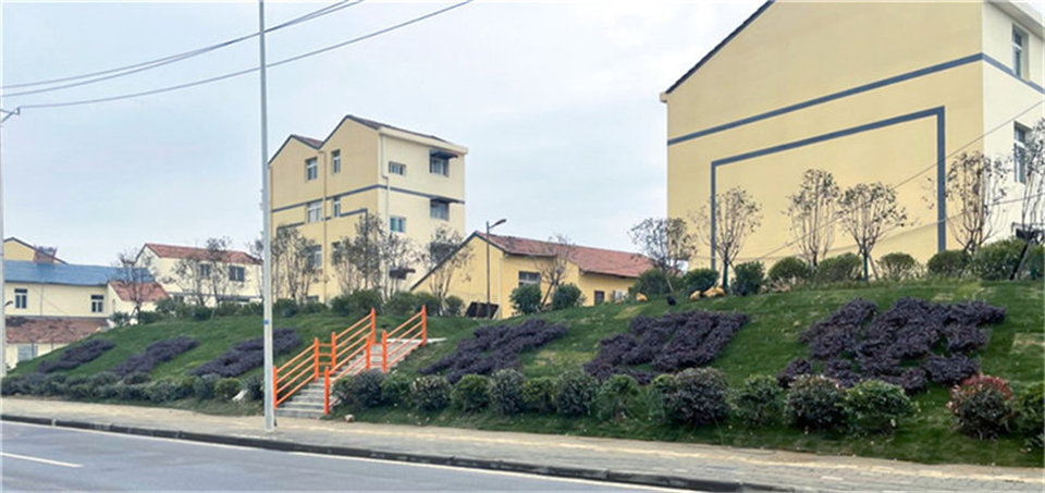 103053nk9olz3sulkoks99.jpg