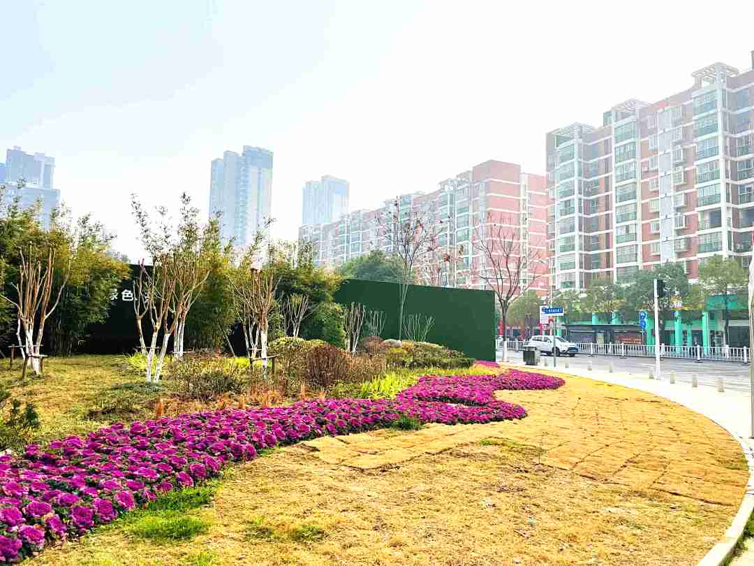 130105eespyyjx2f2zh9h2.jpg