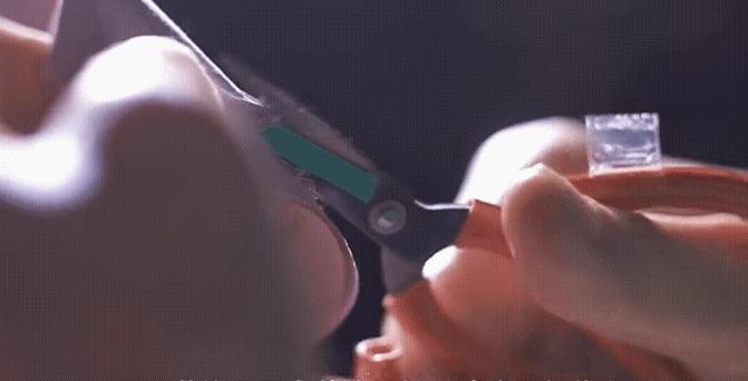 190827a9rgkq1kkiplrrgl.gif