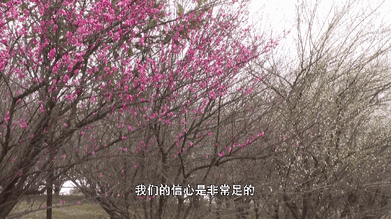 165347q9edq0xm4ryso4vd.gif