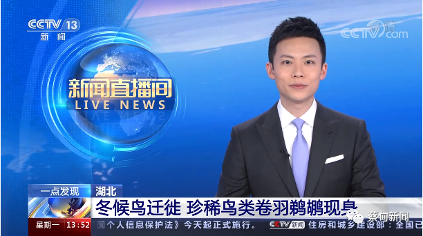 171245ff9ffiwa6voxwetv.png