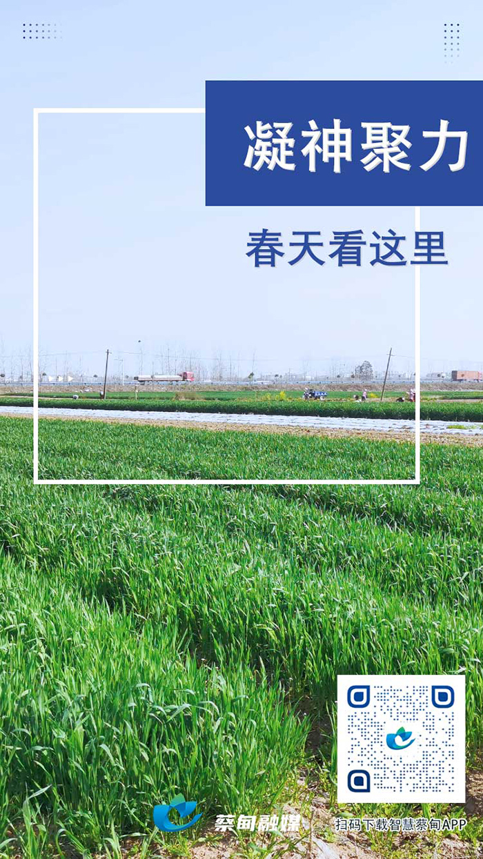 10玉米.jpg