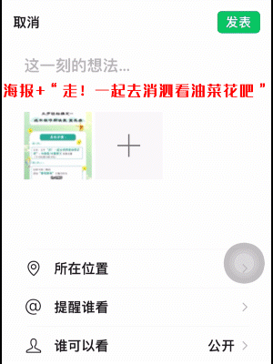 180432p3u1v10x3u1z501g.gif