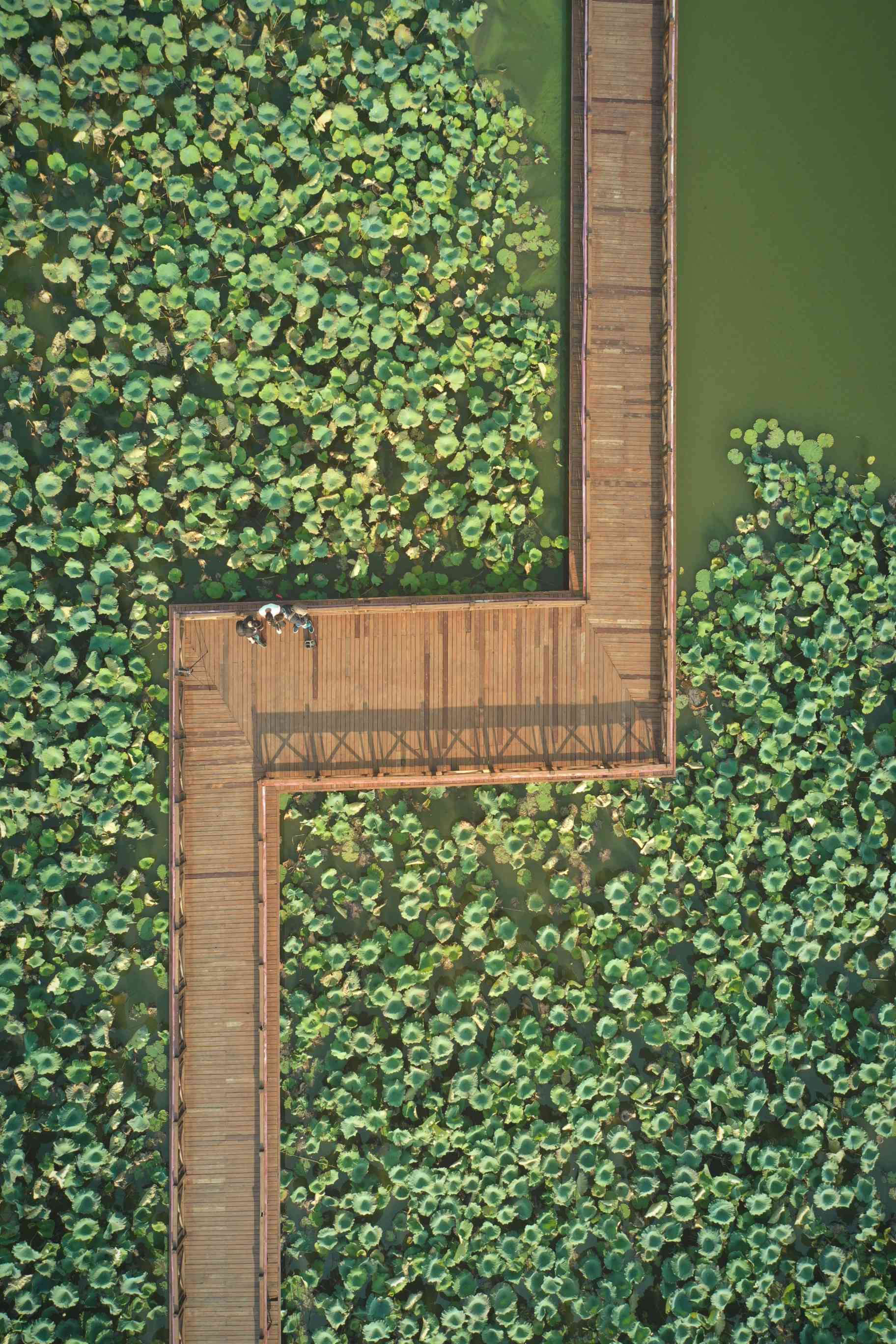DJI_0371_副本(1).jpg