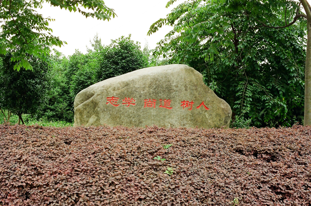 103343uqgi53igi0zwivh0.png