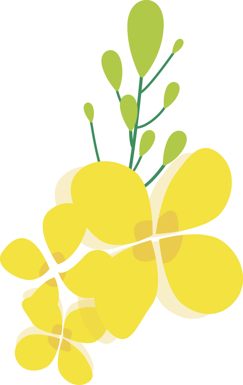 125900r8n1prpiu8hjpbj1.png