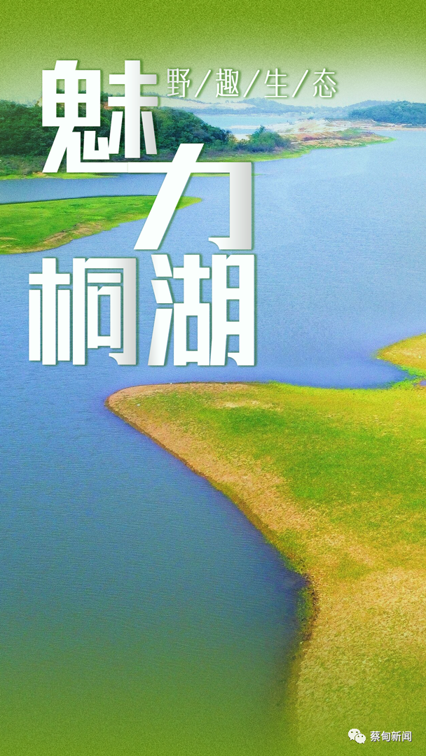 111722nl6r0xoh0riq0q69.png
