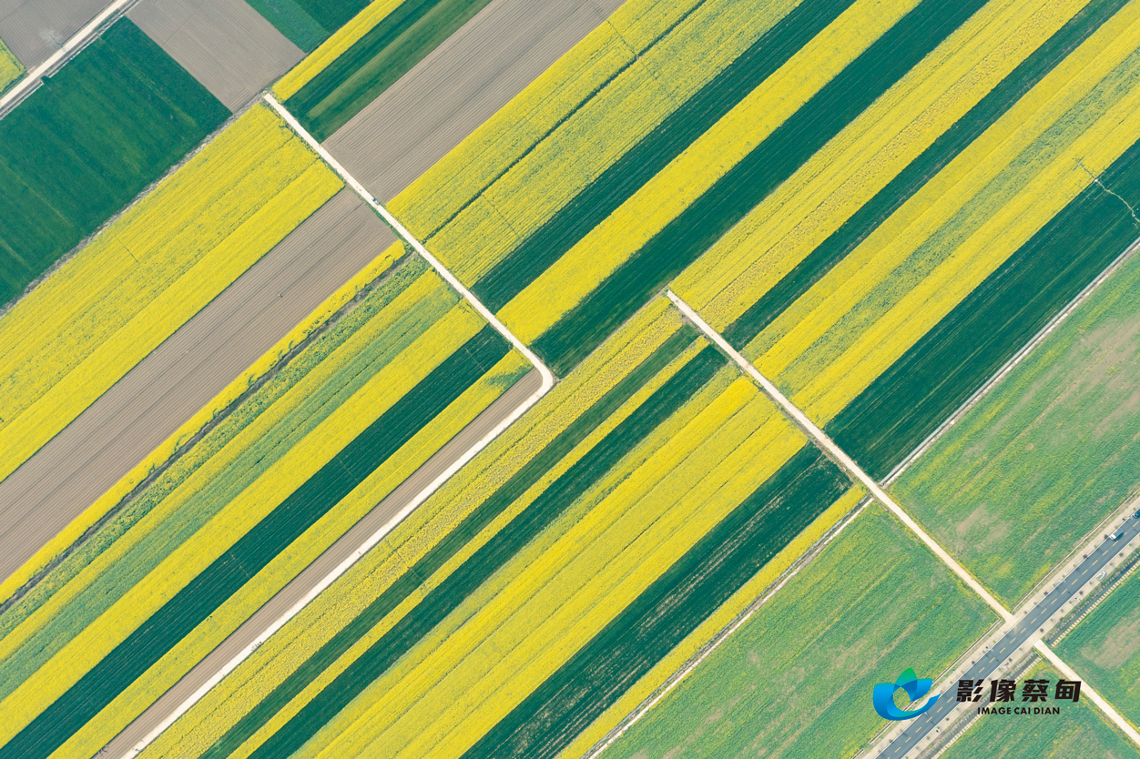 DJI_0152.jpg