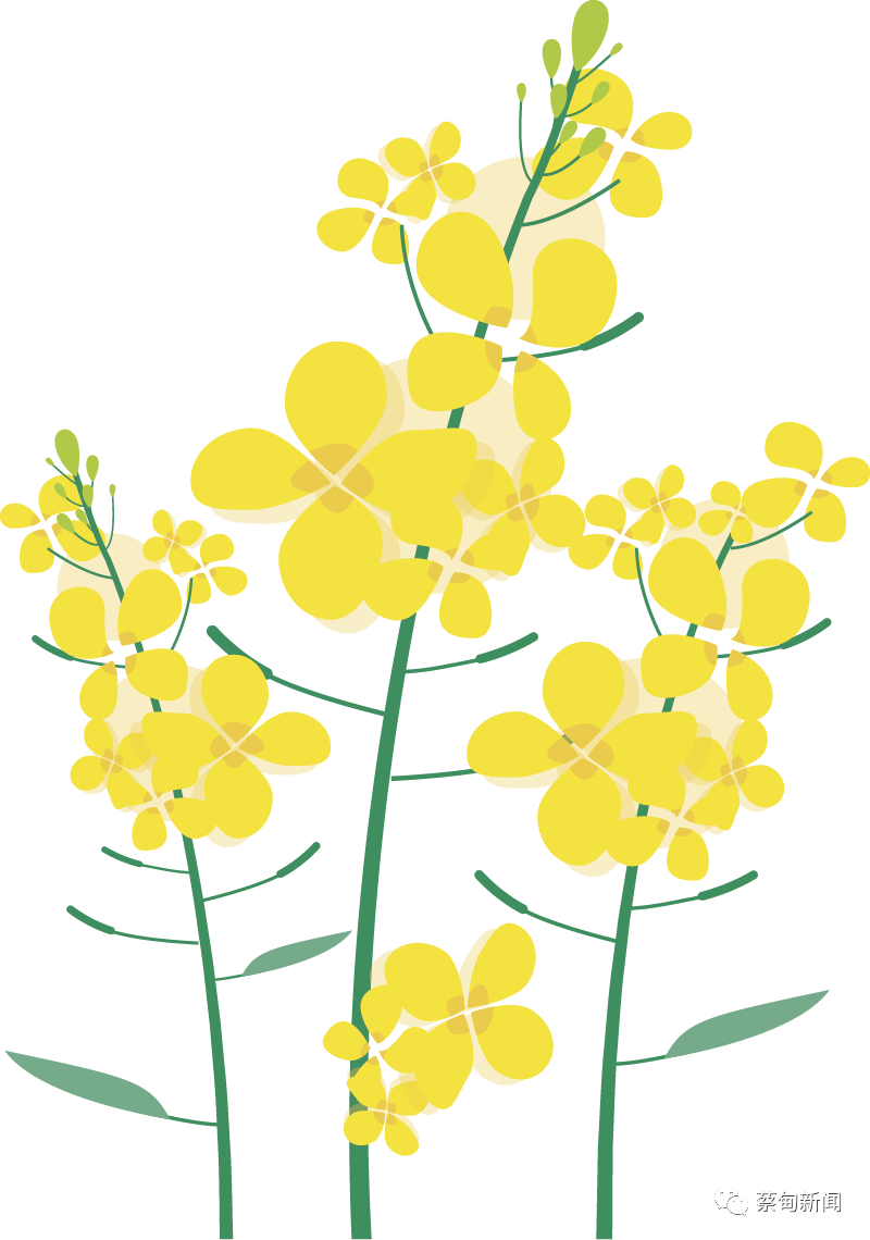 175347afjvj3quh9idie63.png