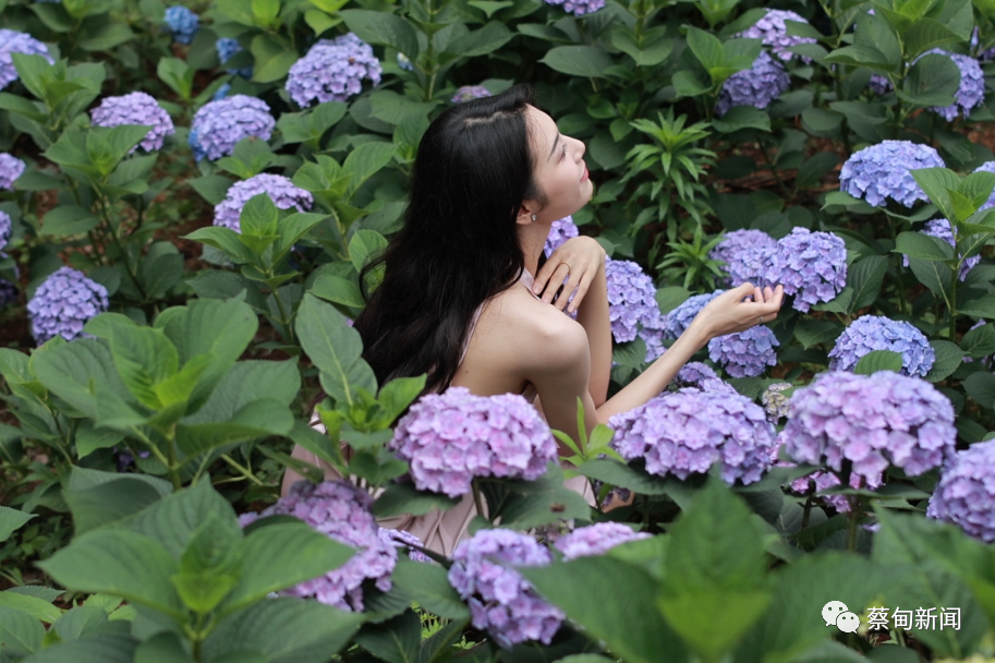 122051f7vsumfpfuu8suhe.png