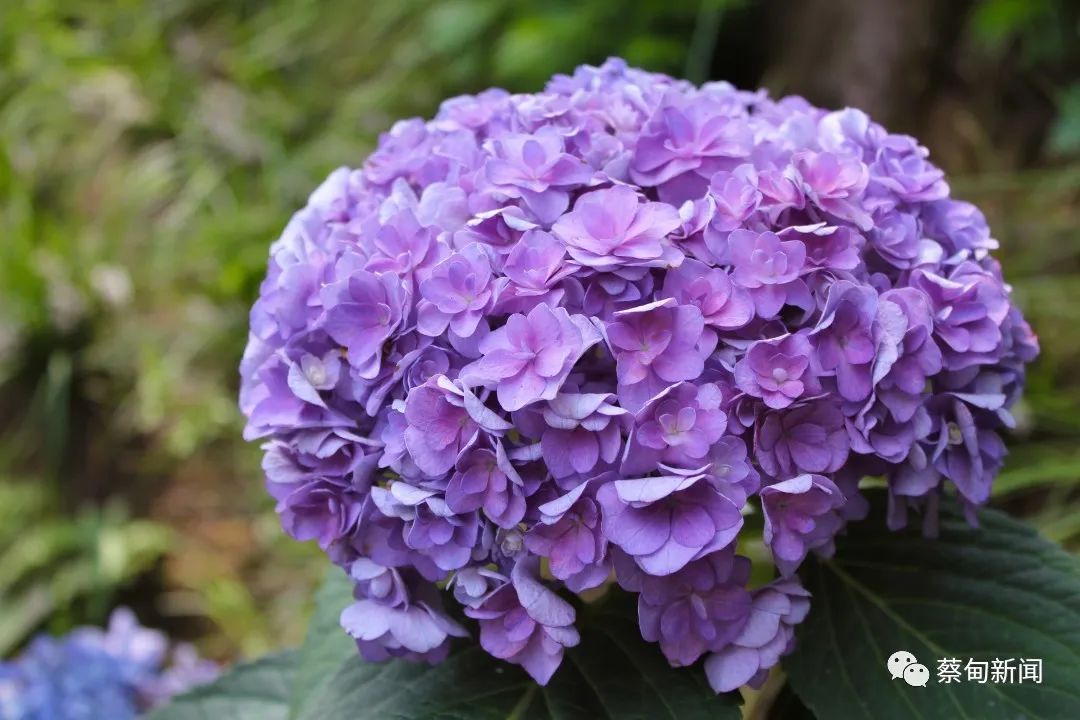 122052bdbsppgjlpumsb2w.jpeg