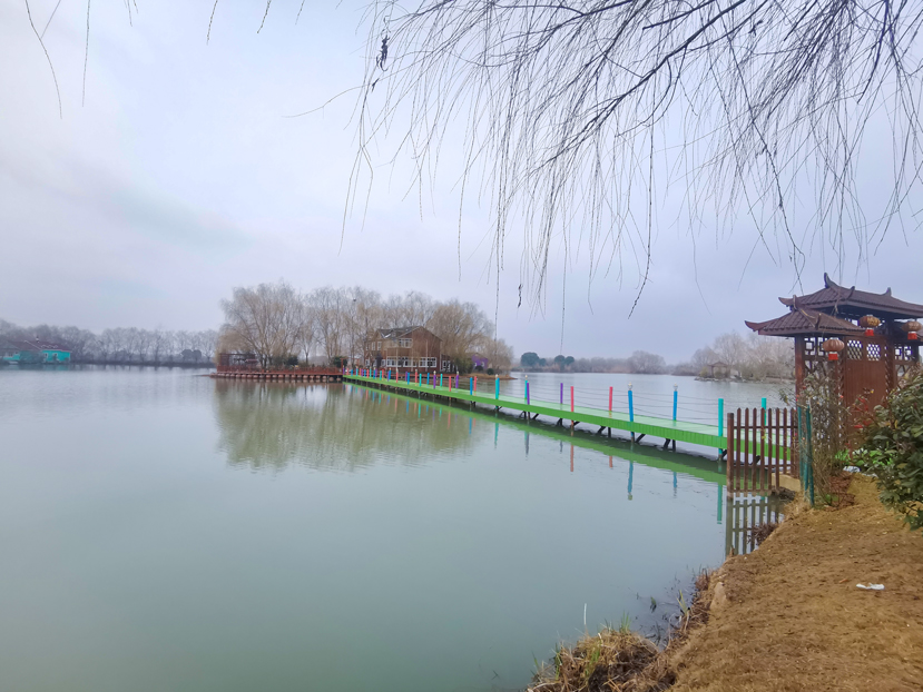 刘婷摄-(2).jpg