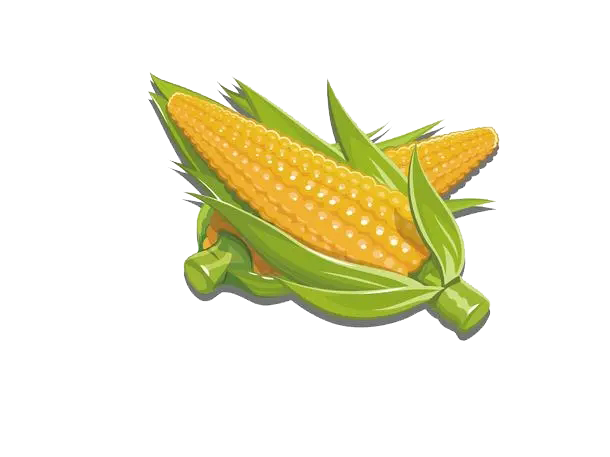 161522cpknxr4oq27qnbxn.png