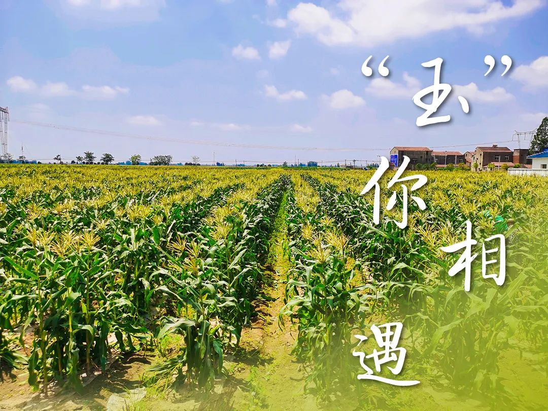 161522mu6umiyh62uc76ll.jpg