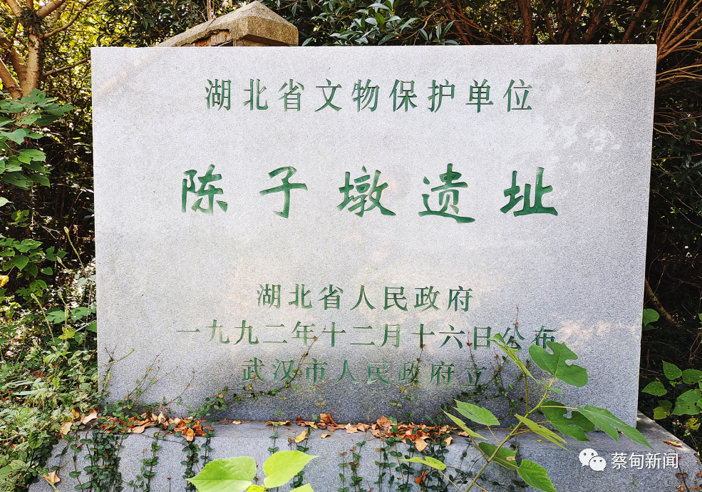 160854salbapcb5lb6n2p6.png
