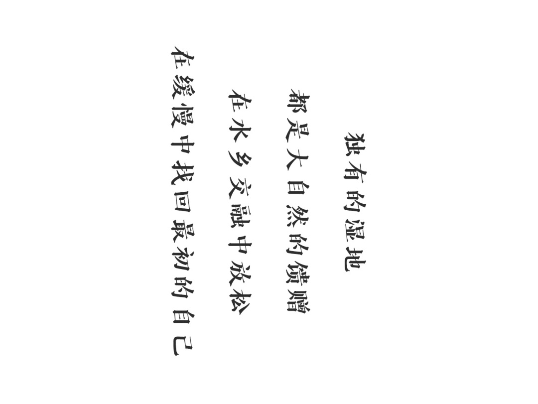 170648zuufjzopbifw6vzm.jpg