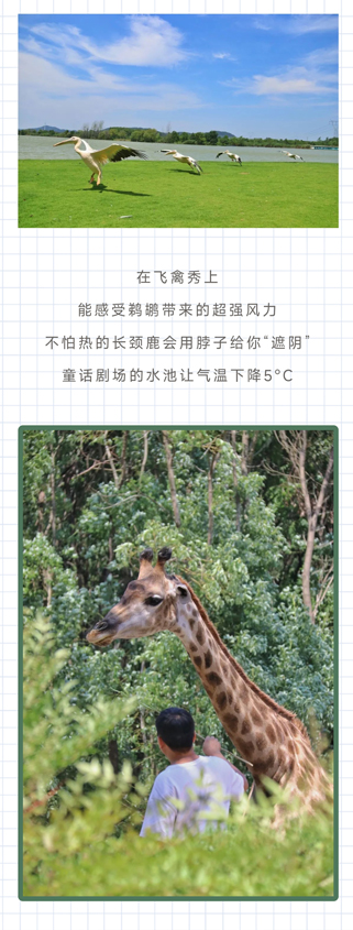 093312b65ecda223y02q2m.jpg