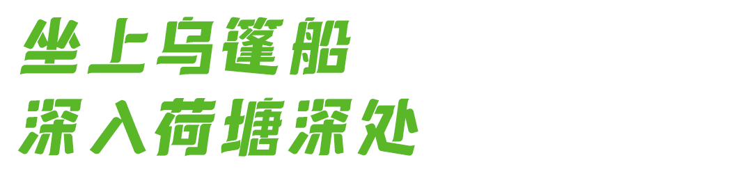 133257exc6sr6556wzuqqr.png