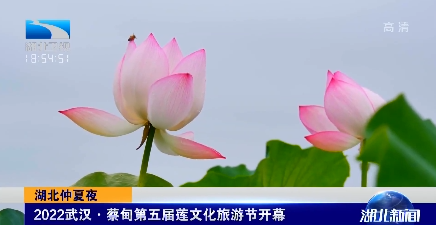 202247kiipdw9z9ctnydg1.png