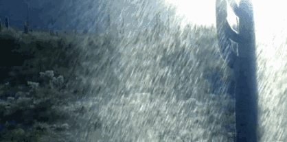 170205tlylc80ltokwwnog.gif