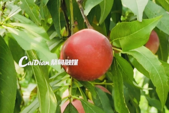 125222qyou6eopucyy3y6c.jpg