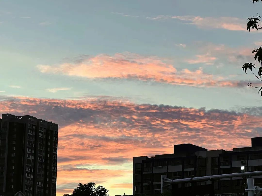 170955gwnbt94o3nz9ijxx.jpeg