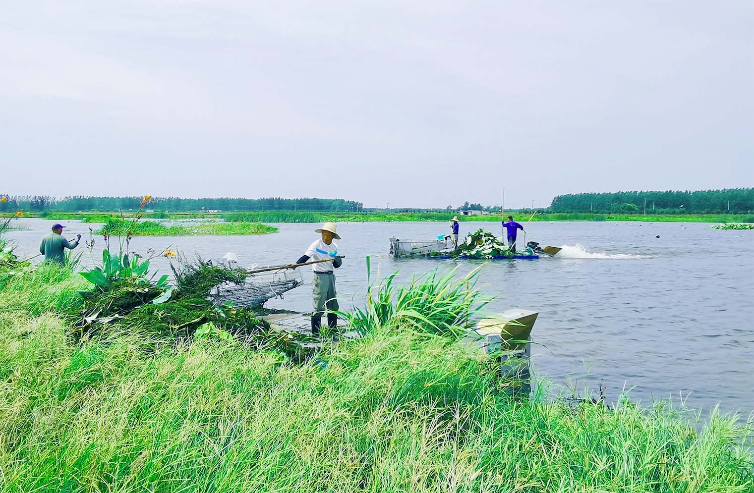 112806zmxafa9lrwq1axgx.jpg
