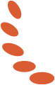 193849d050q972kuti7rk8.png