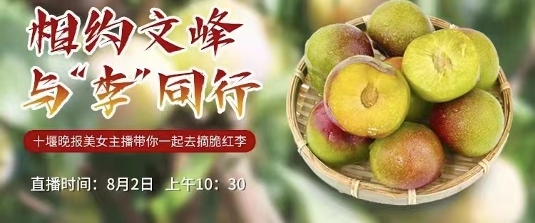 微信图片_20220801201935.jpg