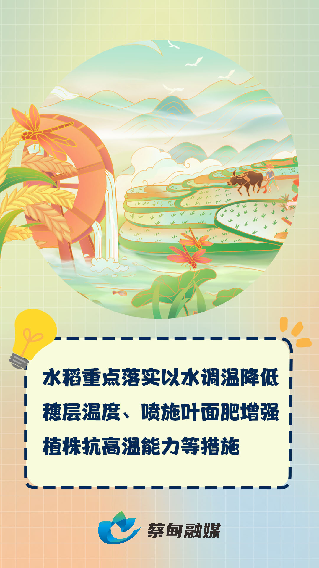 155844ucc7io1c8y42phc7.jpg