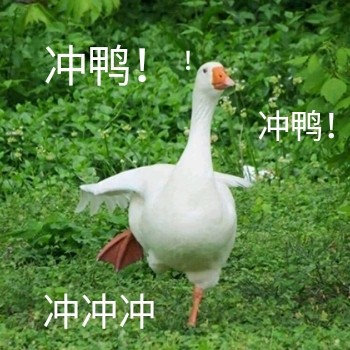 173833zte1i1t44181e1a0.jpg