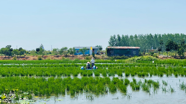 103306ua14933reryzabja.jpg