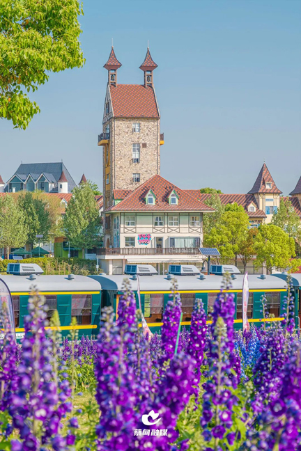 094505ezwjatdaisidvyiv.jpg