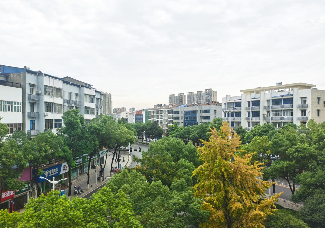 123124cbljpnpbsdlophiu.jpg