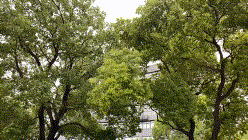 172551r1g2mz6z77jb78gj.gif