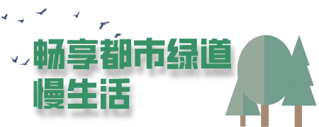 102629z5syiccz16q6o6lo.png