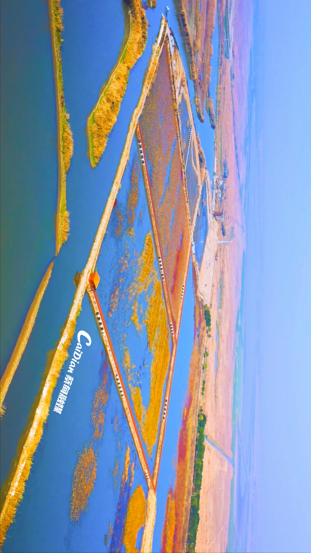 4-恢复的.jpg