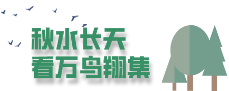 副本_副本_未命名__2022-10-15 17_58_48.png