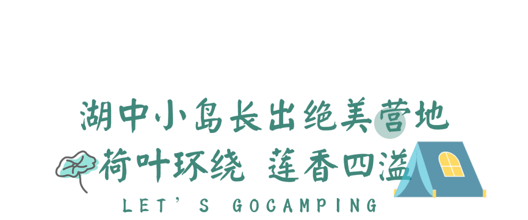 174129phmbzzjp6zql69bp.png