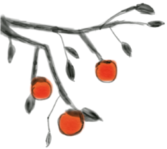 151739ktabm6811mqmqhzh.png