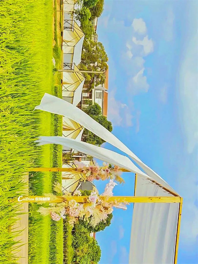 183051ybanon1n67jmr67f.jpeg