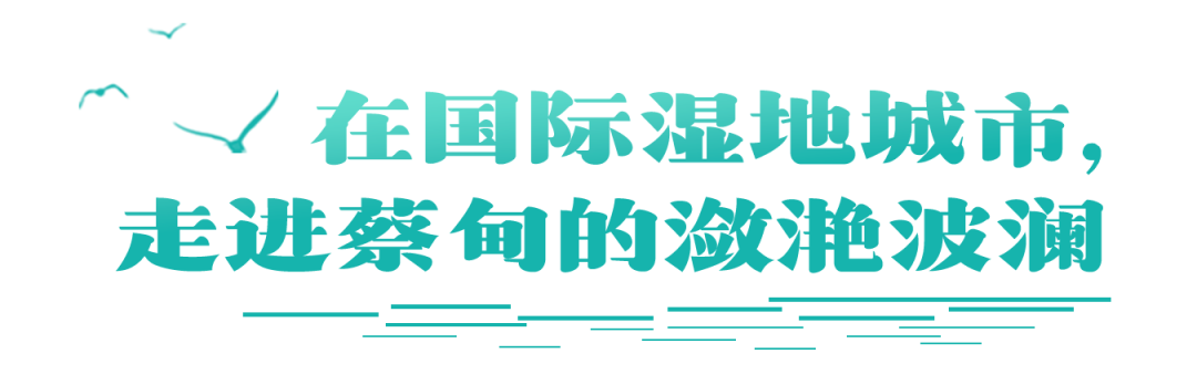 074320rnwpik14dgqiqnko.png