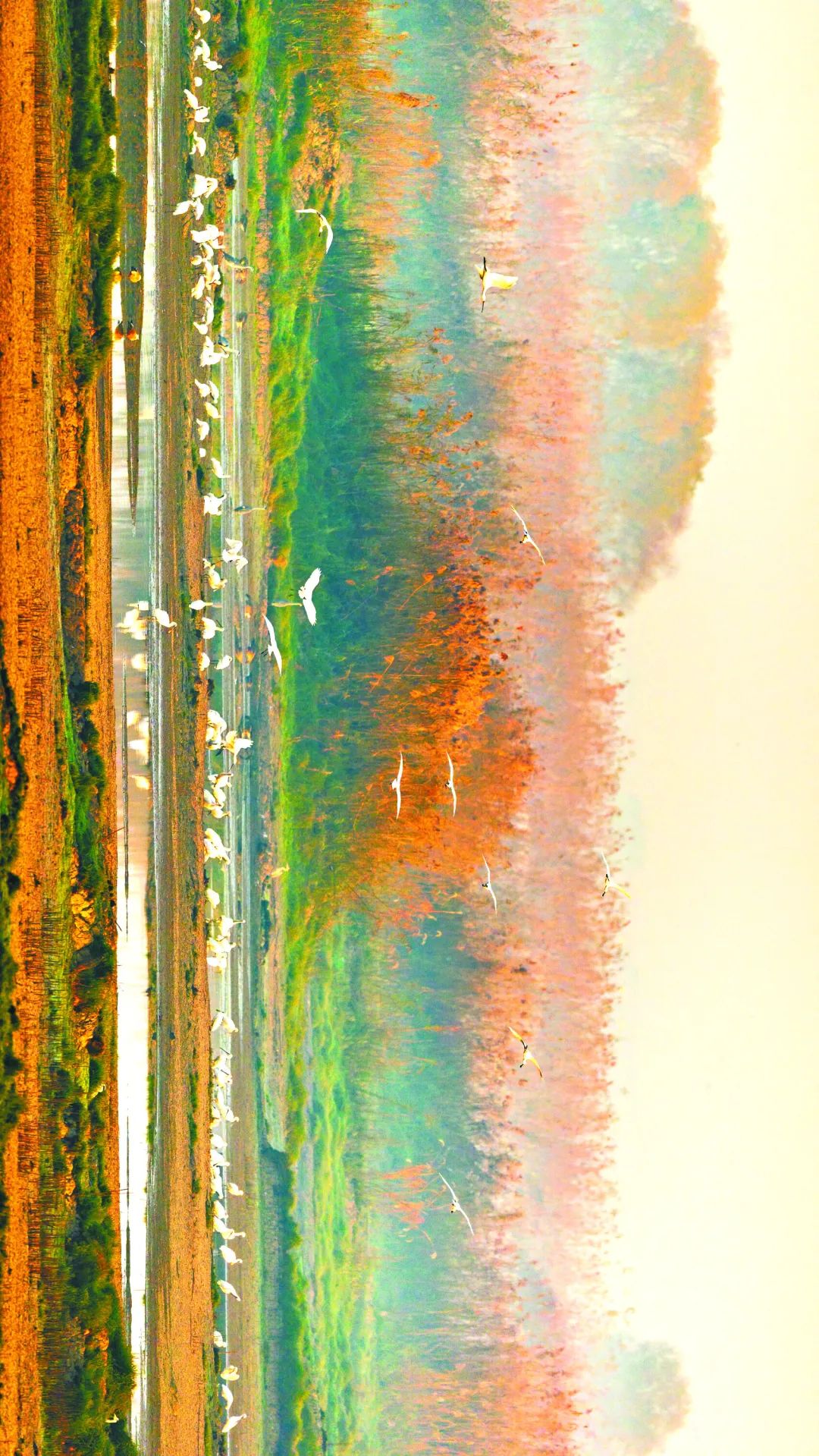 180038mo8viz8dg7pnvwws.jpeg