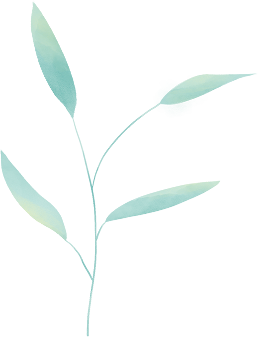 173419d99bcczjuxj6oj9e.png