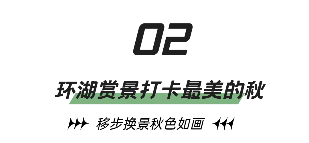 153913aoc1eg01sv9axxav.png