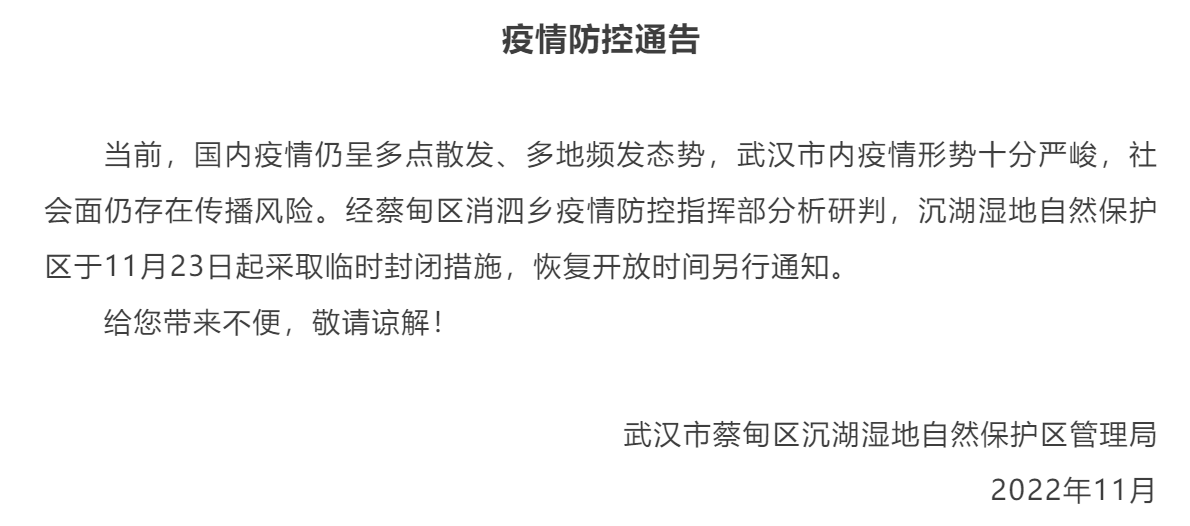 161249o7zwtc1hc9m2219n.png