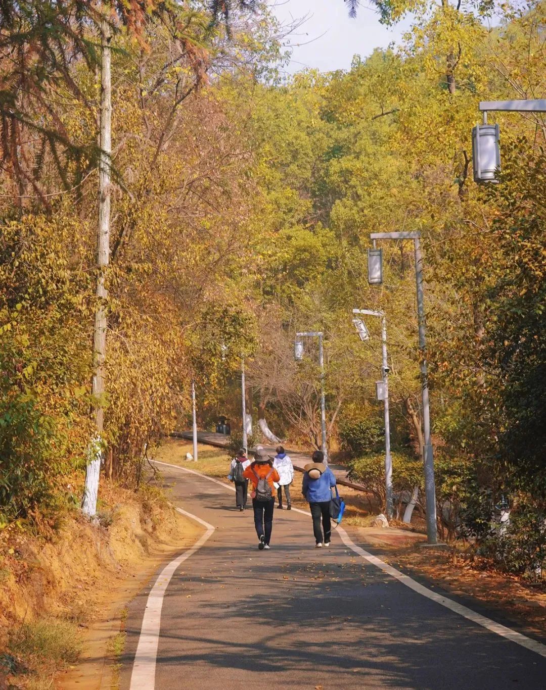 640.jpg