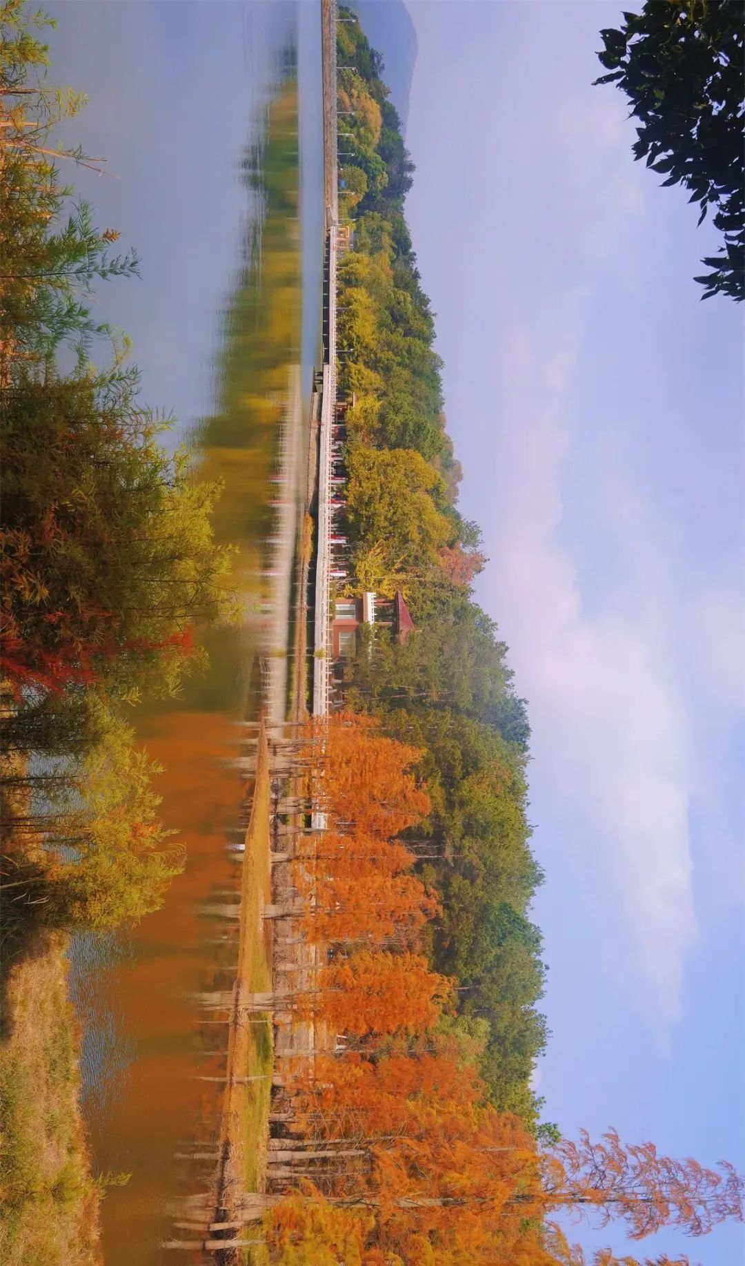 640.jpg